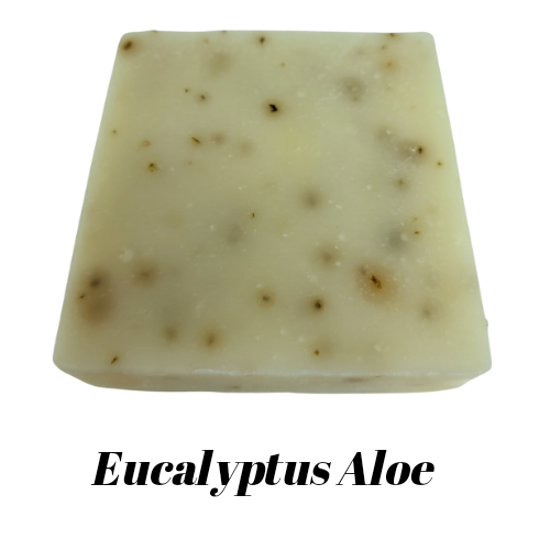 Eucalyptus Aloe