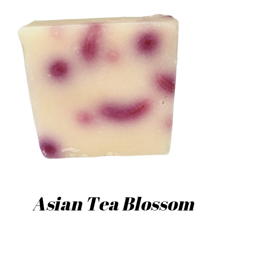 Asian Tea Blossom